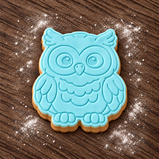 Owl cookie cutter and embosser set – aqua fondant cookie example