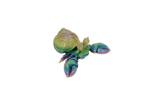 Tattooed Hermit Crab