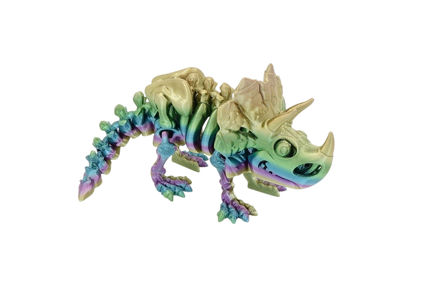 Skeleton Triceratops