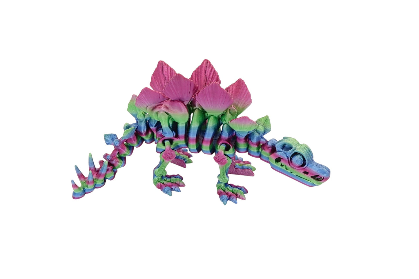 Skeleton Stegasaurus