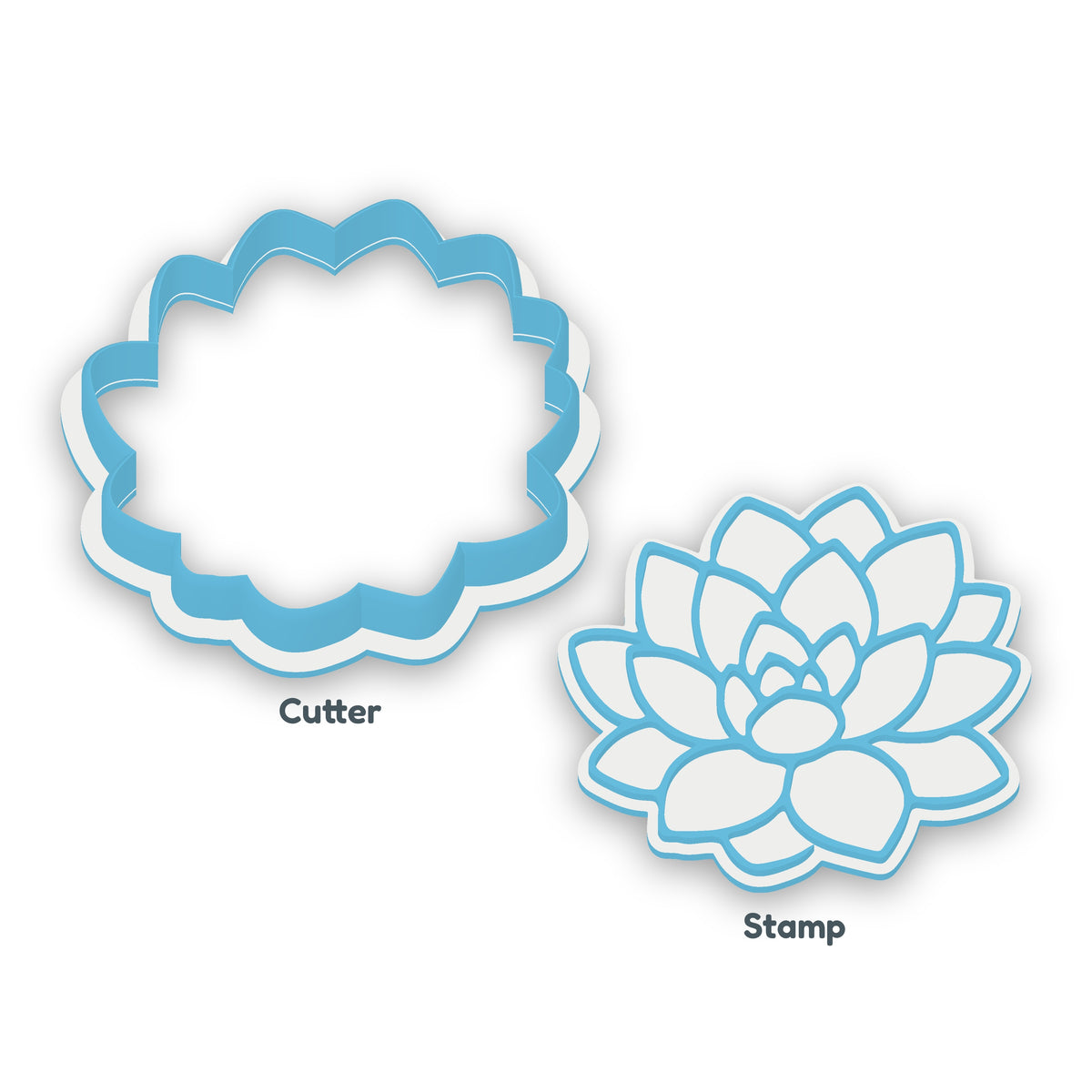 Succulent separate cookie cutter and matching embosser